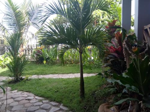 a palm tree in the middle of a garden at Rock Pool Homestay in Huu
