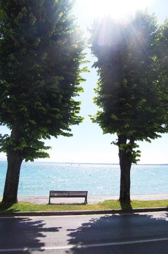 a park bench sitting between two trees near the water at Maison Audrey in Desenzano del Garda