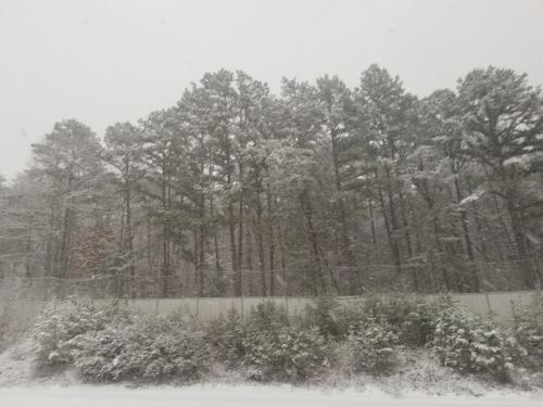 a snow covered forest with a fence and trees at Blue Sky Inn- Complimentary Happy Hour Th-Sun, Veteran owned, Full Breakfast, Best green space, 1 mile from Blue Ridge, Fire Pit in Blue Ridge