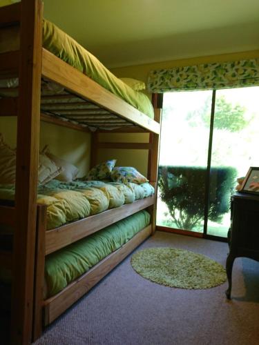 a bedroom with a bunk bed and a window at Parcela privada con piscina en Olmué in Olmué