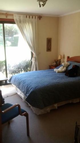 a bedroom with a bed with a teddy bear on it at Parcela privada con piscina en Olmué in Olmué