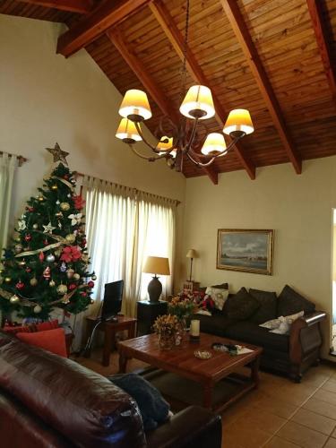 a living room with a christmas tree and a couch at Parcela privada con piscina en Olmué in Olmué