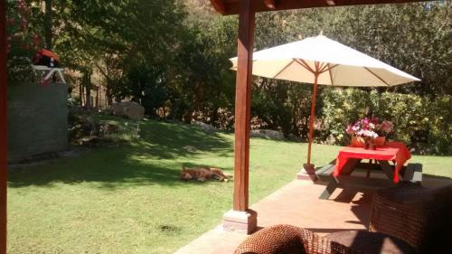 a dog laying in the grass next to a table and an umbrella at Parcela privada con piscina en Olmué in Olmué