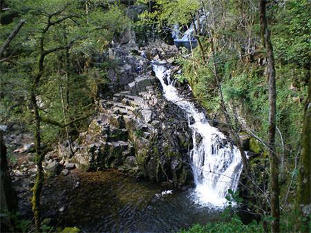 a waterfall on the side of a mountain with trees at Camping Base de Loisirs du Lac de la Moselotte in Saulxures-sur-Moselotte