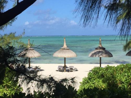 a beach with umbrellas and chairs and the ocean at Bubble Lodge Ile aux Cerfs Island in Ile aux Cerfs