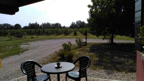 a table and chairs with a view of a vineyard at Barone Rosso in Treviso