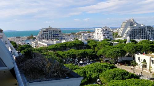 ラ・グランド・モットにあるStudio vue panoramique-centre villeの建物や木々が並ぶ市街の景色