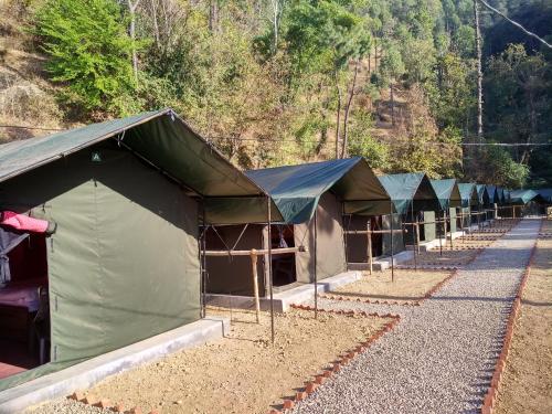 Φωτογραφία από το άλμπουμ του Jungle Stays σε Chail