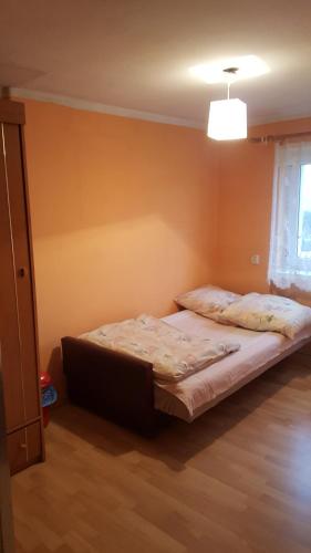 Postel nebo postele na pokoji v ubytování Chata u Żaby