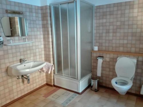 a bathroom with a shower and a toilet and a sink at Ferienwohnung Haus Gomig in Dölsach