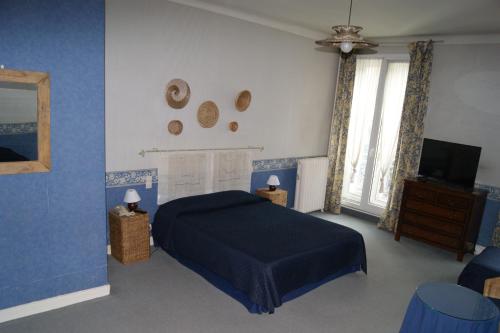 a blue bedroom with a bed and a tv at Hôtel Central in Pau