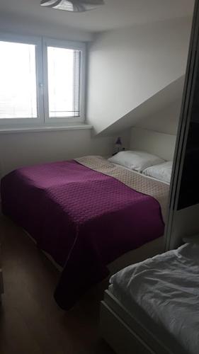 a bedroom with two beds and two windows at Apartmány Dolní Morava in Dolní Morava