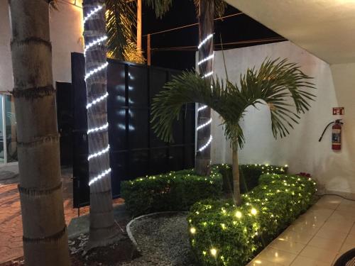a palm tree in a courtyard with lights at Hotel Cascada in Cuautla Morelos