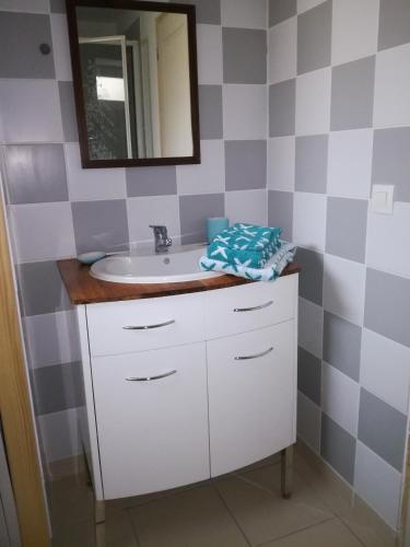 une salle de bain avec un lavabo et un miroir dans l'établissement Ma Petite Maison Chambourgeoise, à Chambourg-sur-Indre