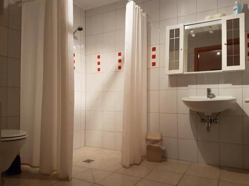 Kúpeľňa v ubytovaní Eisenerzer Hof