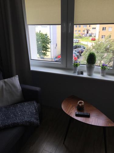 a living room with a table and a window at LesnApart in Hel