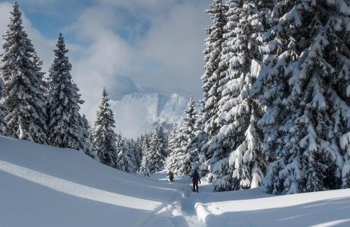 a group of people skiing down a snow covered slope at Hôtel Du Midi in Thônes