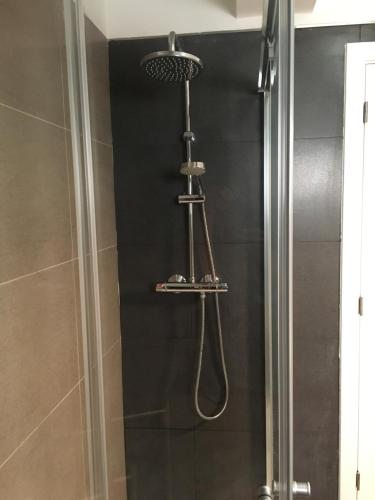 a shower with a shower head in a bathroom at Casa da Fonte in Foz do Arelho