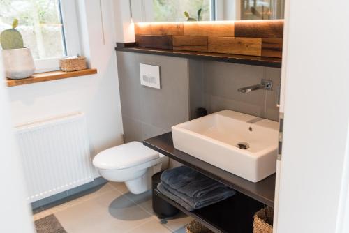 uma casa de banho com um lavatório e um WC em N8Quartier Eifel em Bad Münstereifel