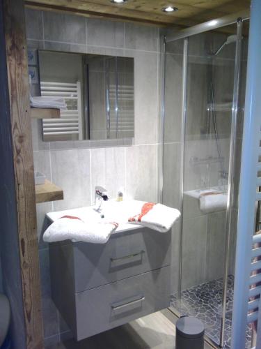 une salle de bain avec un lavabo et une douche dans l'établissement Le Foueustarle, à La Giettaz