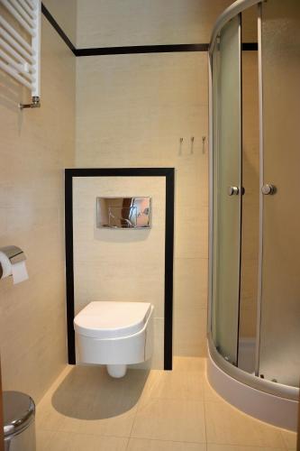 a bathroom with a toilet and a shower at Apartamenty & SPA Villa 28 in Pobierowo