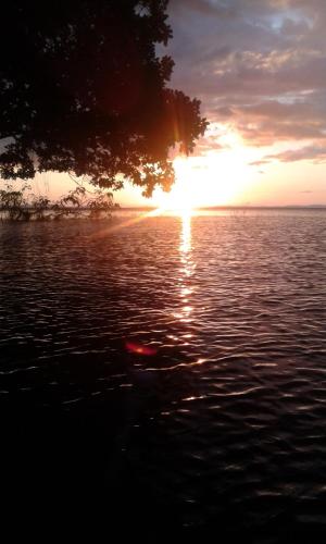 a sunset over a body of water with a tree at Rosa's Lake Cabins in Mérida