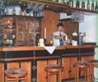 a woman sitting at a bar in a restaurant at Hotel Stadt Zwönitz Josiger GbR in Zwönitz