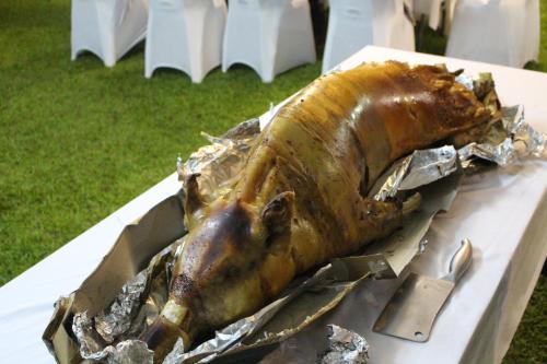 a dead bird sitting on tin foil on a table at Rapopo Plantation Resort in Kokopo