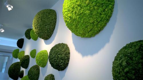 a bunch of green hearts on a wall at Potaissa Hotel in Turda