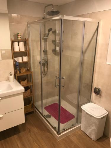 prysznic ze szklaną obudową w łazience w obiekcie Infantes 8-4-30 w mieście Sanlúcar de Barrameda