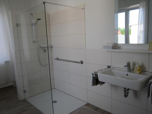y baño con ducha y lavamanos. en Ferienwohnung de Jong, en Sendenhorst