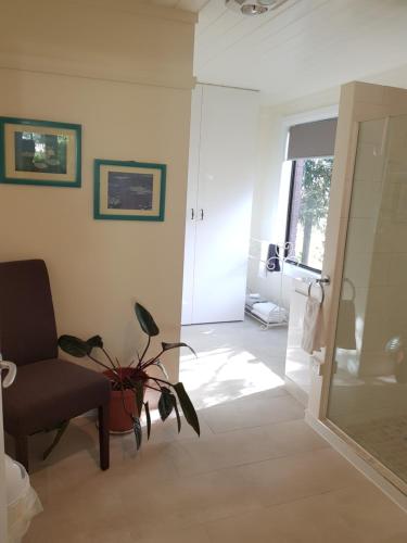 a living room with a chair and a plant at Birch Lane in Cradoc