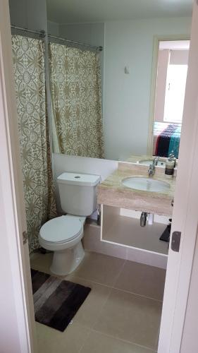 a bathroom with a toilet and a sink at Laguna Bahía, Algarrobo in Algarrobo