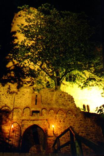 a building with a tree on top of it at night at Schloß Auerbach Kleine Ferienwohnung in Bensheim
