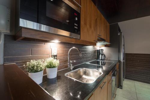 una cucina con lavandino e due piante in vaso di Tahko Spa Suite B3 a Tahkovuori