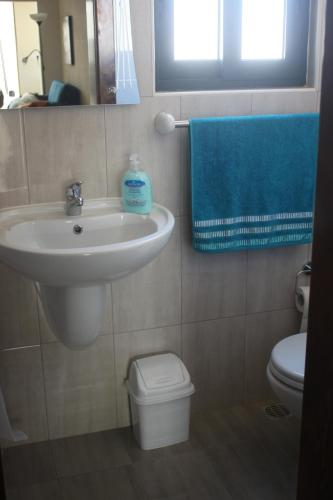 ein Badezimmer mit einem Waschbecken, einem WC und einem Spiegel in der Unterkunft St Joseph Penthouse in Victoria