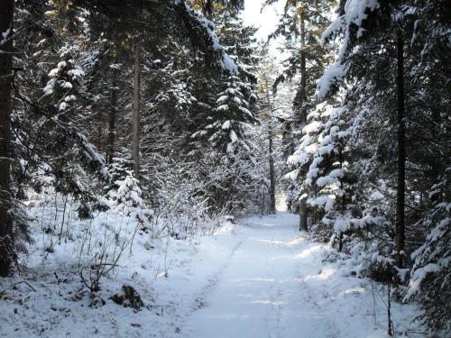 Ferienhaus Gestüt Pfaffenlehen en invierno