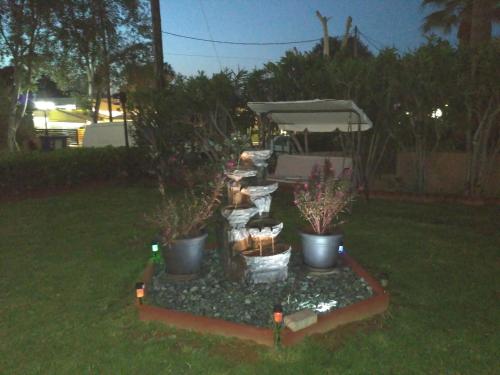 a group of potted plants in a yard at night at Melia Studios in Kato Daratso