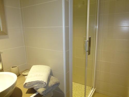 een badkamer met een douche en een wastafel bij Gîtes Château de la Selve in Grospierres