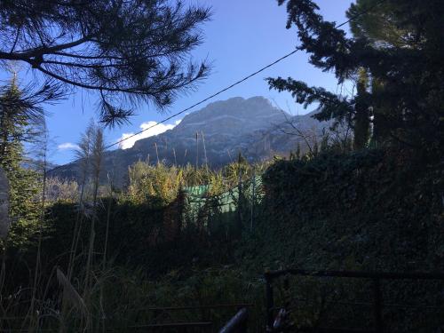 a mountain in the distance with a fence and trees at Cabañas De Madera Y Bungalows - Gilmañas 3 in La Iruela