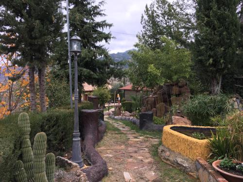 a garden with a street light and a cactus at Cabañas De Madera Y Bungalows - Gilmañas 3 in La Iruela