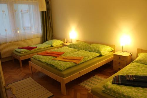 Postel nebo postele na pokoji v ubytování Győr Révfalu Apartman