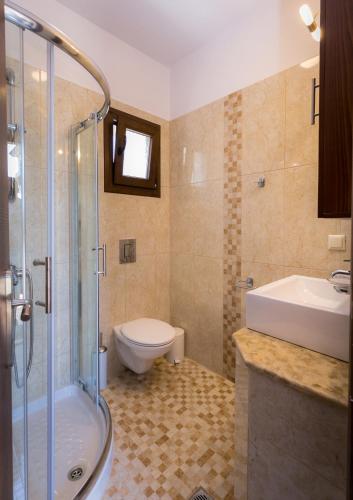 a bathroom with a shower and a toilet and a sink at Elaionas Stone Houses in Skala Potamias