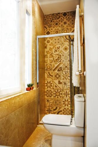 a bathroom with a toilet and a shower at LUX CITYHALL + PARKING in Bilbao