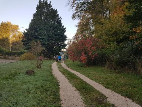 a group of people walking down a path in a park at Nid dans la forêt in Saint-Jean-aux-Bois