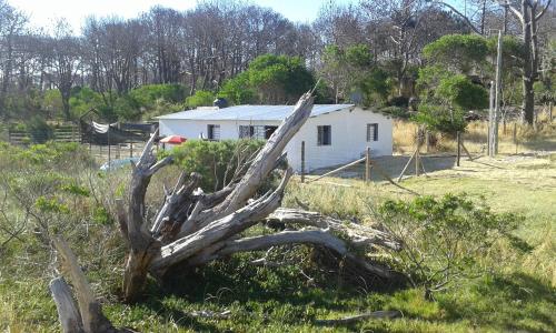 ein gefallener Baum vor einem Haus in der Unterkunft La casa de Juan in Cuchilla Alta