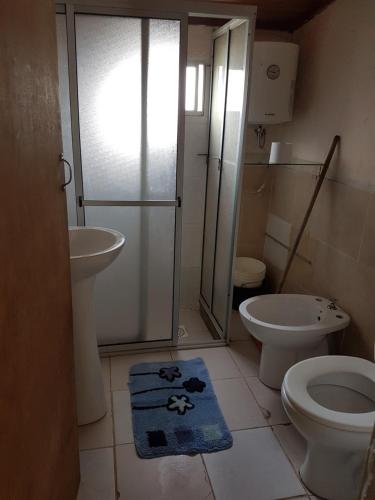 a bathroom with a shower and a toilet and a sink at Los Lachos in Aguas Dulces