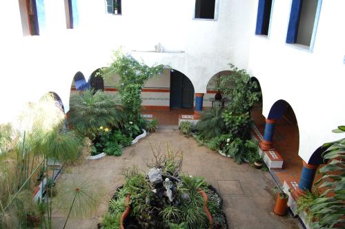 an indoor garden with plants in a building at La Casona Azul Boutique Hotel in Malinalco