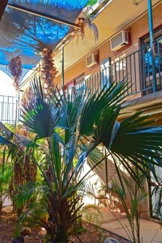 a group of plants in front of a building at Goldfields Hotel Motel in Tennant Creek