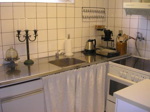 a kitchen with a sink and a counter top at Bed & Kitchen Rugbjergvej in Stavtrup